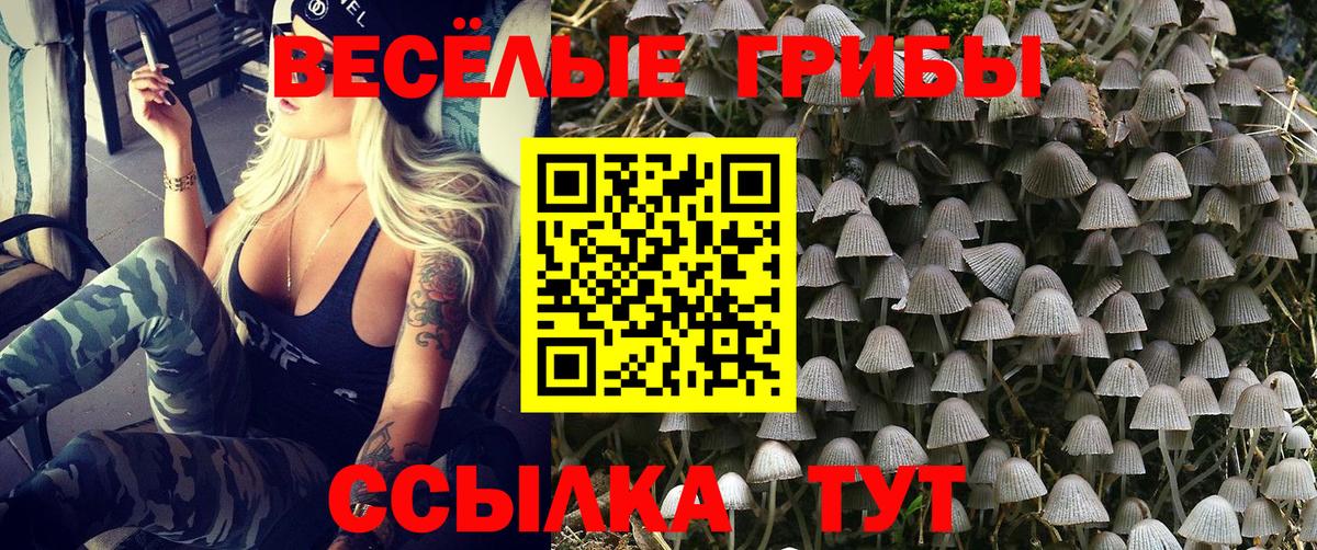 Псилоцибиновые грибы MAGIC MUSHROOMS Жуковский